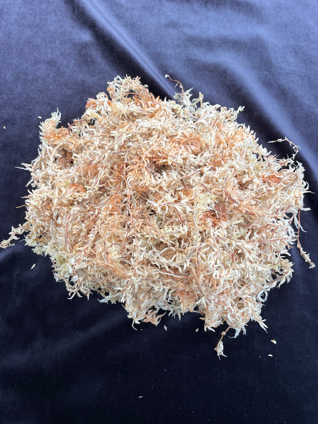 New Zealand Sphagnum Moss 500g - Green Barn Orchid and Aroid Supplies